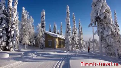 Сказочные снежинки: Красивые фотографии зимней Финляндии