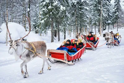 Зимний фриз: Финские пейзажи в формате JPG