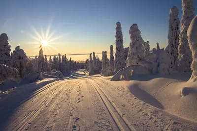 Суровая красота: Фотографии зимы в Финляндии