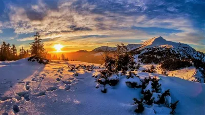 Зимний Яремче на фото: Красоты горного курорта