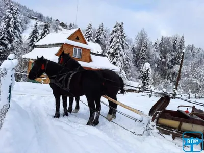 Фотографии зимних приключений в Яремче: Незабываемые моменты