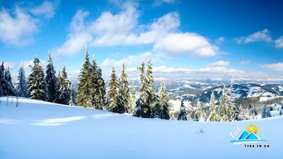 Зимний Яремче на фото: Красоты горного курорта