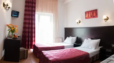 Фотография розы с возможностью выбора размера и формата из отеля Донна Роза в Евпатории