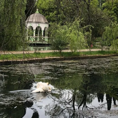 Скачать фото водопада Новый Афон бесплатно и в хорошем качестве