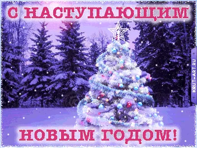 Новогодние изображения для поздравлений: JPG, PNG, WebP