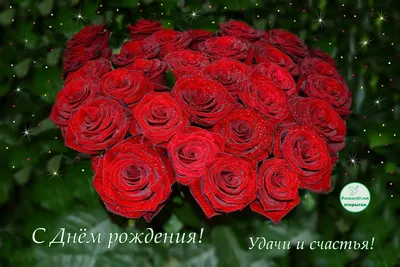 Нежные открытки с розами и возможностью выбора размера