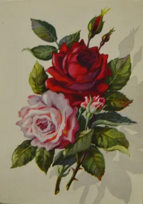 Интересные открытки с розами и возможностью выбора формата и размера
