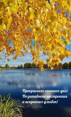 Фото отличного осеннего дня в формате Full HD