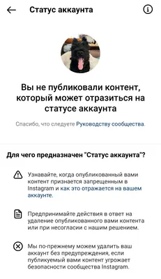 Создание персонализированной фотографии с отмеченным человеком: JPG, PNG, WebP