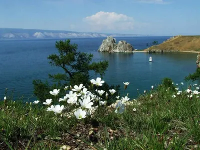 Фото озера Байкал летом: красота природы в высоком качестве