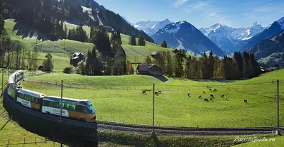Путешествие в сказочную Швейцарию: фото озера Бриенц.