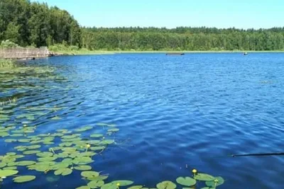 Фоновые изображения Озера Данилово: создайте атмосферу