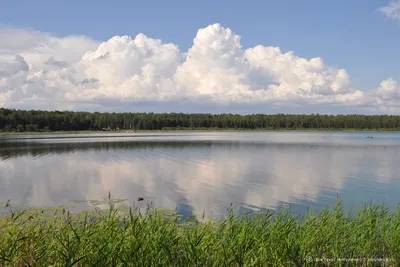 Озеро Данилово: фото в прекрасном качестве