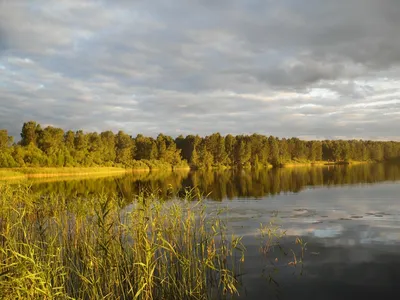 Зачарованные воды Озера Данилово: снимки, которые вдохновят
