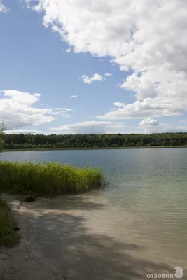 Райские уголки Озера Данилово через объектив фотокамеры