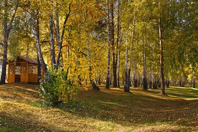 Озеро данилово фотографии