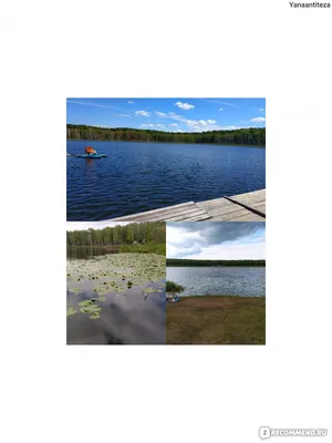 Фотоальбом озера Данилово: пейзажи величественного природного фона