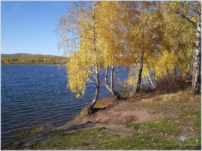 Обои на телефон с озером Данилово: освежающий фон для вашего iPhone
