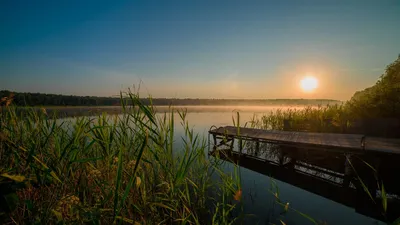 Фото на андроид: лучшие кадры озера Данилово для вашего смартфона