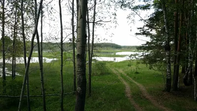 Бесплатные фото озера Данилово: качественные снимки доступны для бесплатного скачивания