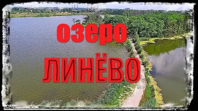 Озеро Данилово – идеальное место для уединенных фотосессий