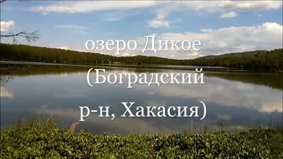 Фотографии озера дикое хакасия - искусство природы 