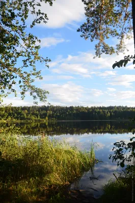 Великолепие природы: взгляд на Озеро еланчик (фото)