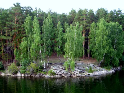 Укромный уголок среди лесов - Озеро еланчик (фото)