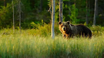 Райский уголок среди растительности - Озеро еланчик (фото)