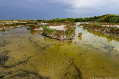 Фотографии озера Эльтон: потрясающие изображения природы в HD качестве