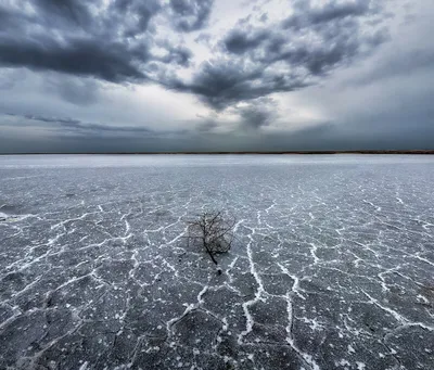 Изображения озера Эльтон: обнаружьте его величие через потрясающие фотографии