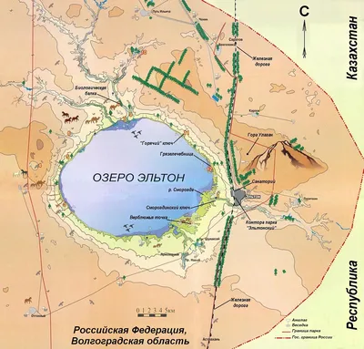 Озеро Эльтон: оазис спокойствия и гармонии.