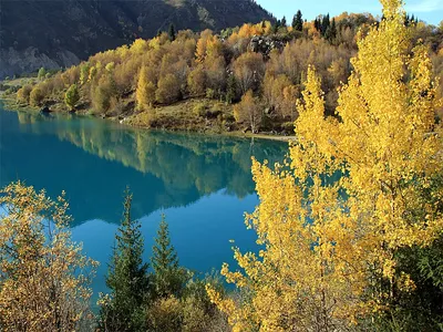 Увлекательная фотография озера Иссык: погрузитесь в мир природы