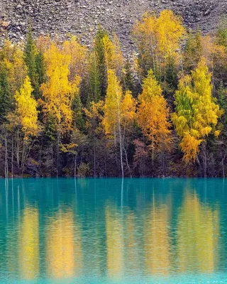 Озеро Иссык в линзе камеры: изумительные фото