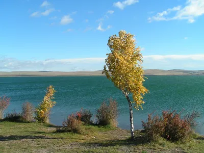 Фотография озера Иткуль в Хакасии