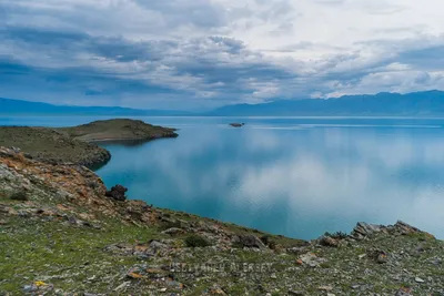 Золотые кущи дикой природы Озера Иткуль Хакасии на фото