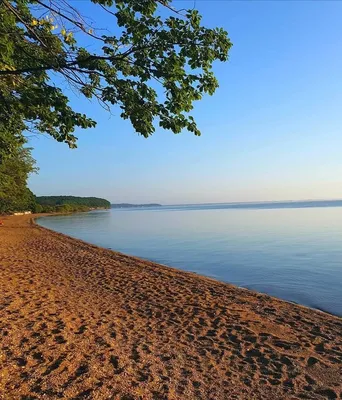 Красивые фото Озеро Ханка - бесплатно скачать и использовать в HD качестве