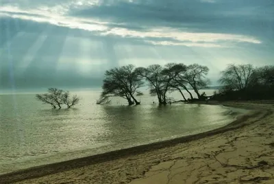 4K изображение озера Ханка: реалистичная глубина и детализация