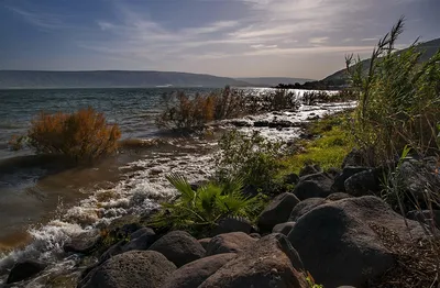 Фотографии Озера Кинерет: красота природы