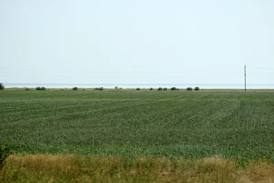 Краски природы Озера Кулундинского на ярких фотографиях