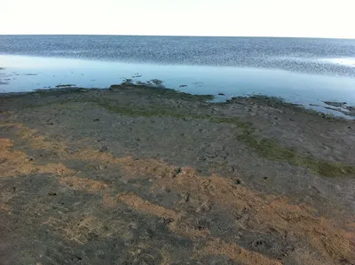 HD изображения Озеро кулундинское: наслаждайся превосходными деталями при просмотре