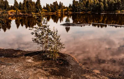 Фото озера лебяжье в формате HD (JPG/PNG/WebP)