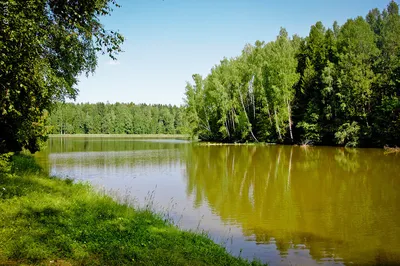 Фото озера Лесное Сергиев Посад в высоком разрешении (JPG, PNG, WebP)