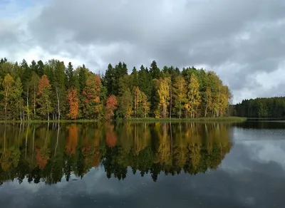 Новые и красивые фотографии озера Лесное Сергиев Посад