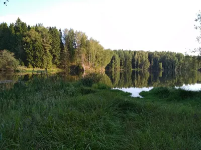 Бесплатные фотографии озера Лесное Сергиев Посад в хорошем качестве
