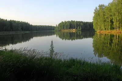 Изумительные фотографии озера Лесное Сергиев Посад в Full HD качестве