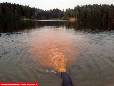 Бесплатные фотографии озера Лесное Сергиев Посад в 4K разрешении