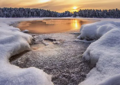 Фотографии озера Лесное Сергиев Посад: новое и захватывающее