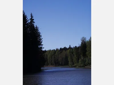 Фото: Озеро Лесное Сергиев Посад во всей своей красе