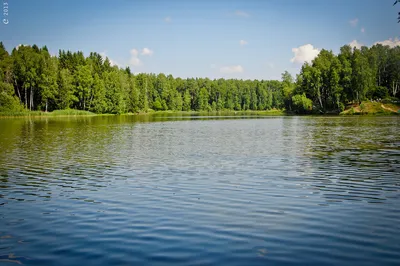 Фотоэкскурсия к Озеру Лесное Сергиев Посад: красота в каждом кадре